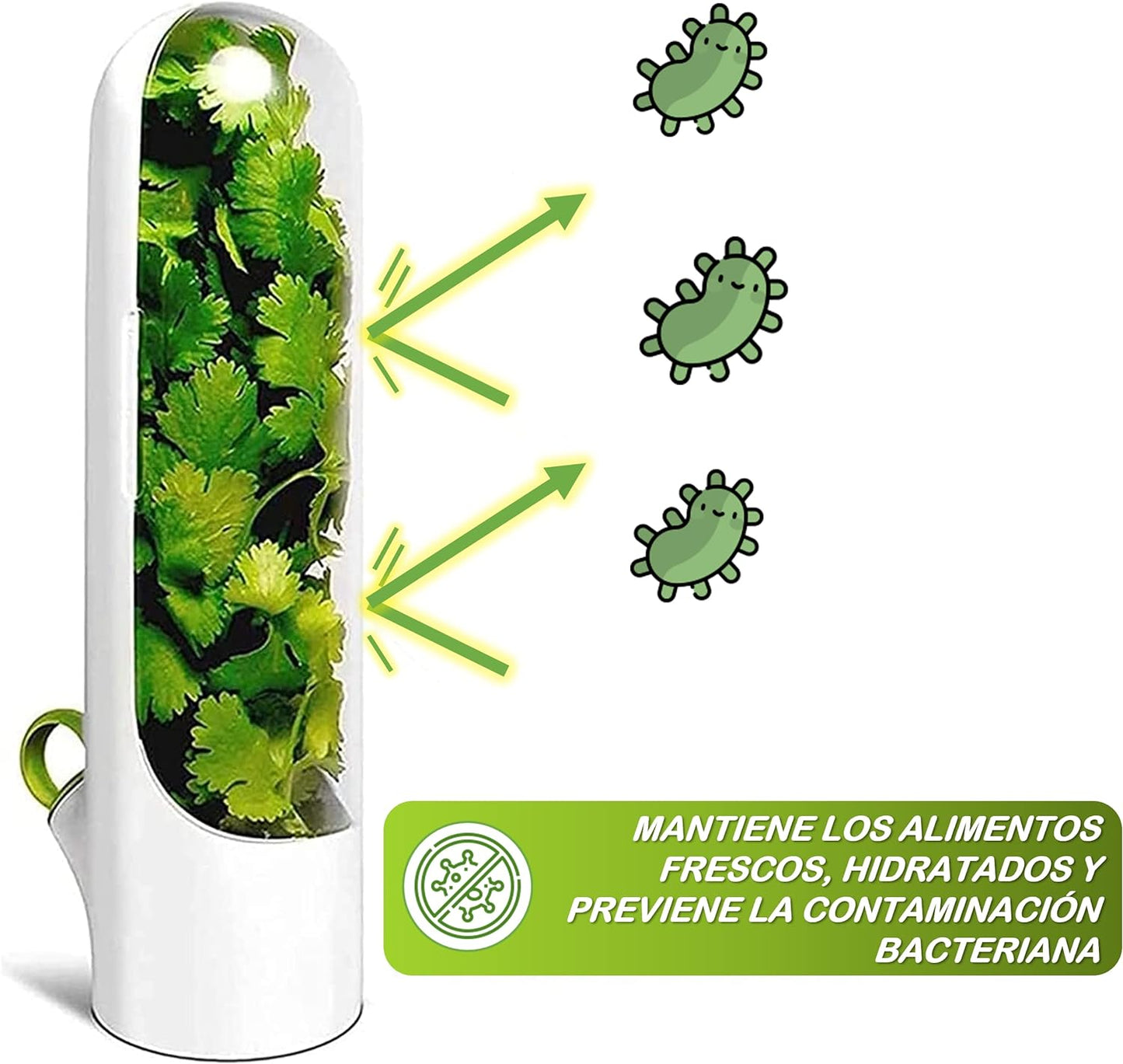 Conservador FreshLife