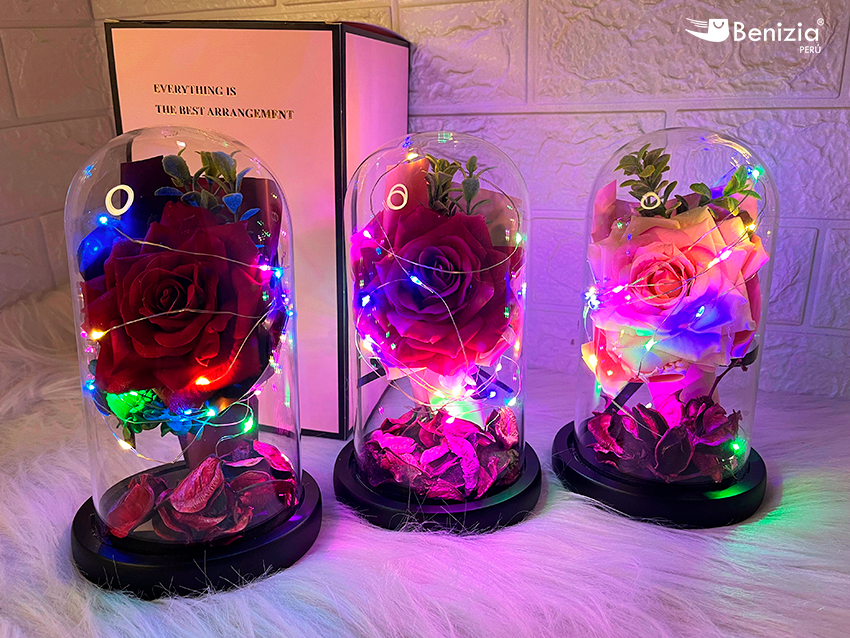 Aurora ® Rosas Cúpula para Mamá
