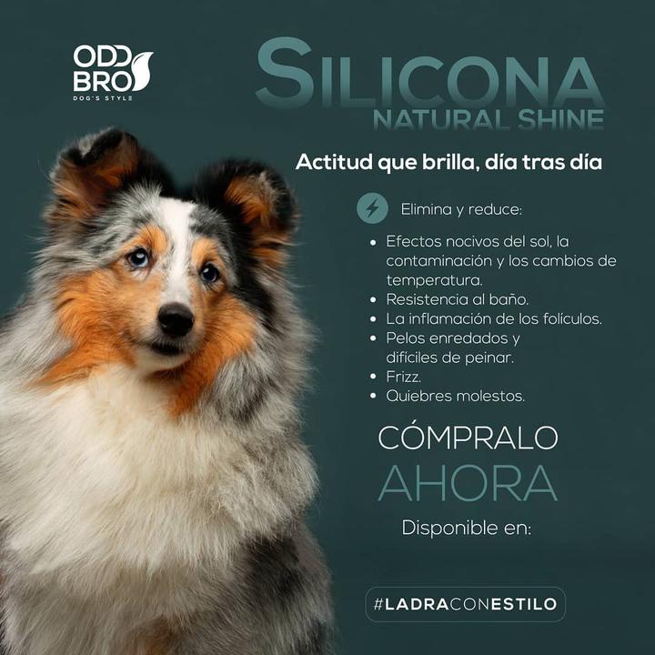 NATURAL SHINE - SILICONA PARA CANES🐶