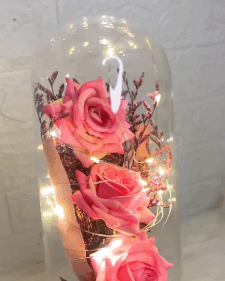 Pandora Rose ® Rosas Cúpula